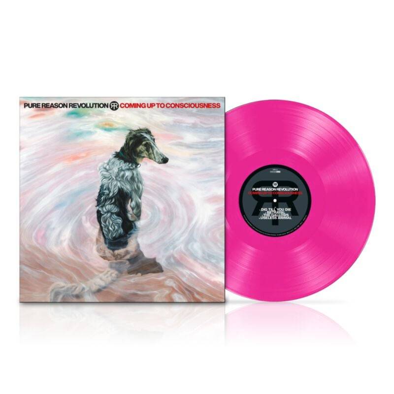 Pure Reason Revolution Coming up to consciousness LP multicolor von Pure Reason Revolution