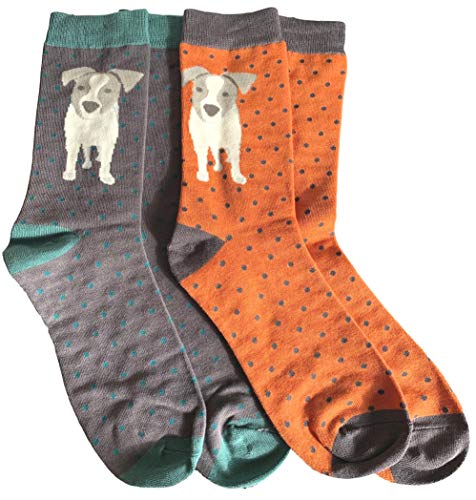 Purple Possum® Jack Russell Herrensocken, 2 Paar, Multipack, Bambus-Baumwoll-Mischgewebe, lustige Geschenkidee, Blau / Rot, grau / orange, Einheitsgröße von Purple Possum