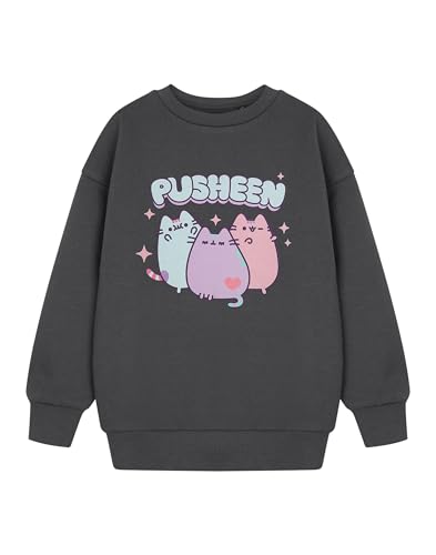Pusheen Graues Sweatshirt für Mädchen | Niedlicher Pullover mit Kawaii-Katzengrafik | Langarmpullover für Kinder und Jugendliche | Gemütliches, lässiges von Pusheen