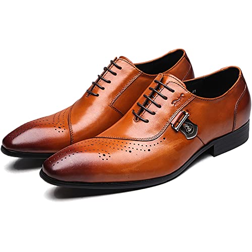 QAXZESA Herren Spitz zulaufende Brogues Casual Dress Schuhe Hochzeit Formale Schnür-Oxfords Cowhide Wingtip Derbys,Brown-43 von QAXZESA