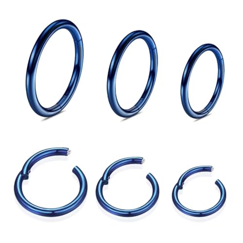 316L Edelstahl Piercing-Ring-Hingding-Nasen-Ringe-Hoop: 20g 18 g 16 g 14 g Frauen und Herrenkörper Pierecing Ring Segment Clicker Lippenringe Helix Knorpel-Rook-Ohrringe Durchmesser 6mm 8mm 10 mm 12mm 316L Edelstahl Piercing-Ring-Hingding-Nasen-Ringe-Hoop: 20g 18 g 16 g 14 g Frauen und Herrenkörper Pierecing Ring Segment Clicker Lippenringe Helix Knorpel-Rook-Ohrringe Durchmesser 6mm 8mm 10 mm 12mm von QBTZLATJ