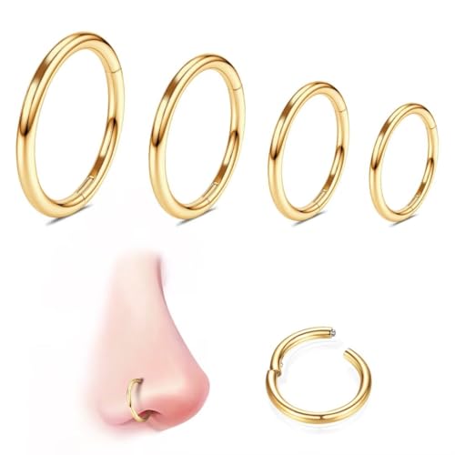 316L Edelstahl Piercing-Ring-Hingding-Nasen-Ringe-Hoop: 20g 18 g 16 g 14 g Frauen und Herrenkörper Pierecing Ring Segment Clicker Lippenringe Helix Knorpel-Rook-Ohrringe Durchmesser 6mm 8mm 10 mm 12mm 316L Edelstahl Piercing-Ring-Hingding-Nasen-Ringe-Hoop: 20g 18 g 16 g 14 g Frauen und Herrenkörper Pierecing Ring Segment Clicker Lippenringe Helix Knorpel-Rook-Ohrringe Durchmesser 6mm 8mm 10 mm 12mm von QBTZLATJ