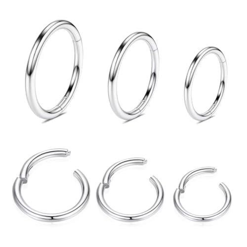 316L Edelstahl Piercing-Ring-Hingding-Nasen-Ringe-Hoop: 20g 18 g 16 g 14 g Frauen und Herrenkörper Pierecing Ring Segment Clicker Lippenringe Helix Knorpel-Rook-Ohrringe Durchmesser 6mm 8mm 10 mm 12mm 316L Edelstahl Piercing-Ring-Hingding-Nasen-Ringe-Hoop: 20g 18 g 16 g 14 g Frauen und Herrenkörper Pierecing Ring Segment Clicker Lippenringe Helix Knorpel-Rook-Ohrringe Durchmesser 6mm 8mm 10 mm 12mm von QBTZLATJ