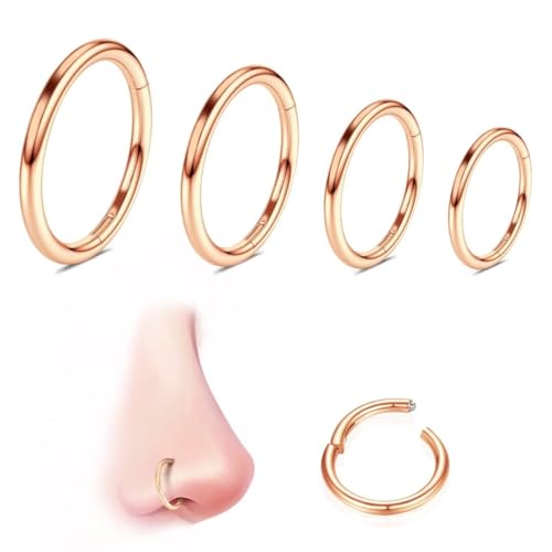 316L Edelstahl Piercing-Ring-Hingding-Nasen-Ringe-Hoop: 20g 18 g 16 g 14 g Frauen und Herrenkörper Pierecing Ring Segment Clicker Lippenringe Helix Knorpel-Rook-Ohrringe Durchmesser 6mm 8mm 10 mm 12mm 316L Edelstahl Piercing-Ring-Hingding-Nasen-Ringe-Hoop: 20g 18 g 16 g 14 g Frauen und Herrenkörper Pierecing Ring Segment Clicker Lippenringe Helix Knorpel-Rook-Ohrringe Durchmesser 6mm 8mm 10 mm 12mm von QBTZLATJ