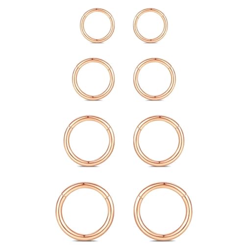 316L Edelstahl Piercing-Ring-Hingding-Nasen-Ringe-Hoop: 20g 18 g 16 g 14 g Frauen und Herrenkörper Pierecing Ring Segment Clicker Lippenringe Helix Knorpel-Rook-Ohrringe Durchmesser 6mm 8mm 10 mm 12mm 316L Edelstahl Piercing-Ring-Hingding-Nasen-Ringe-Hoop: 20g 18 g 16 g 14 g Frauen und Herrenkörper Pierecing Ring Segment Clicker Lippenringe Helix Knorpel-Rook-Ohrringe Durchmesser 6mm 8mm 10 mm 12mm von QBTZLATJ
