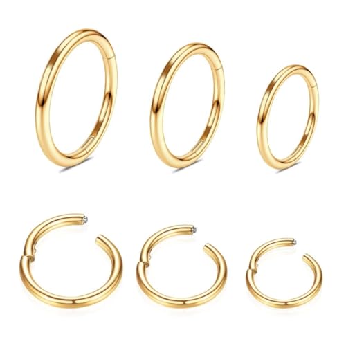 316L Edelstahl Piercing-Ring-Hingding-Nasen-Ringe-Hoop: 20g 18 g 16 g 14 g Frauen und Herrenkörper Pierecing Ring Segment Clicker Lippenringe Helix Knorpel-Rook-Ohrringe Durchmesser 6mm 8mm 10 mm 12mm 316L Edelstahl Piercing-Ring-Hingding-Nasen-Ringe-Hoop: 20g 18 g 16 g 14 g Frauen und Herrenkörper Pierecing Ring Segment Clicker Lippenringe Helix Knorpel-Rook-Ohrringe Durchmesser 6mm 8mm 10 mm 12mm von QBTZLATJ