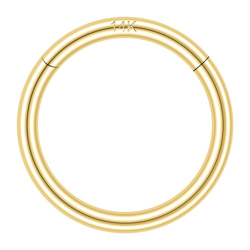QBTZLATJ 14k feste 18g/16g Nasenringe, 6/8/10mm -Scharniersegmentsegmentringe, echte Lippentragus -Helix -Knorpelschalel -Ohrring -Hoops Piercing für Frauen Männer QBTZLATJ 14k feste 18g/16g Nasenringe, 6/8/10mm -Scharniersegmentsegmentringe, echte Lippentragus -Helix -Knorpelschalel -Ohrring -Hoops Piercing für Frauen Männer von QBTZLATJ