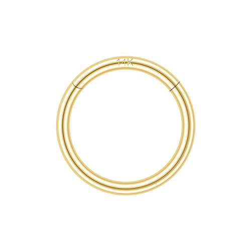 QBTZLATJ 14k feste 18g/16g Nasenringe, 6/8/10mm -Scharniersegmentsegmentringe, echte Lippentragus -Helix -Knorpelschalel -Ohrring -Hoops Piercing für Frauen Männer von QBTZLATJ