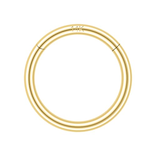 QBTZLATJ 14k feste 18g/16g Nasenringe, 6/8/10mm -Scharniersegmentsegmentringe, echte Lippentragus -Helix -Knorpelschalel -Ohrring -Hoops Piercing für Frauen Männer QBTZLATJ 14k feste 18g/16g Nasenringe, 6/8/10mm -Scharniersegmentsegmentringe, echte Lippentragus -Helix -Knorpelschalel -Ohrring -Hoops Piercing für Frauen Männer von QBTZLATJ
