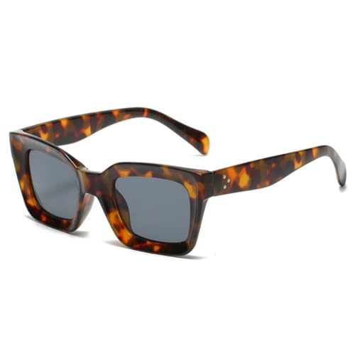 QGGNMGT Beliebte Mode Cat Eye Damen Sonnenbrille Retro Nagel Klar Farbverlauf Brillen Herren Sonnenbrille UV400 (Leopardengrau) von QGGNMGT