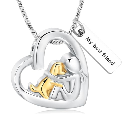 QGJNSGC Herz Halskette für Asche Edelstahl Hund Katze Andenken Einäscherung Schmuck Gedenkstätte Urne Halskette für Haustier menschliche Asche Anhänger (Anpassen) von QGJNSGC