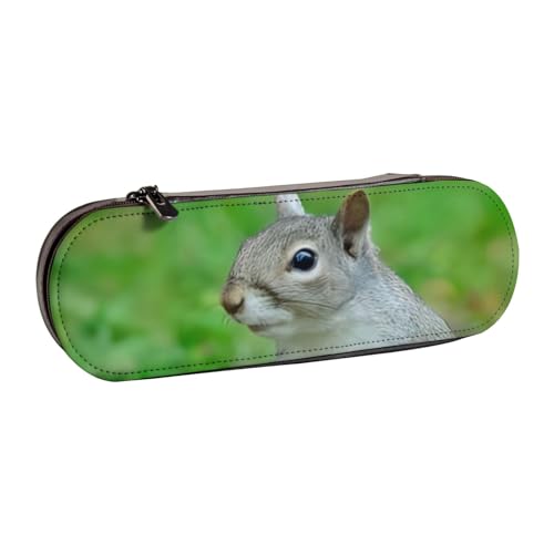 QGWDYYJQ Federmäppchen mit Eichhörnchen-Motiv, bedrucktes Leder-Federmäppchen, Schreibwaren-Organizer, tragbares Federmä von QGWDYYJQ
