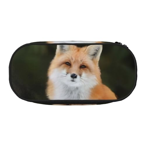 QGWDYYJQ Funny Fox Bedrucktes Federmäppchen Schreibwaren Organizer Tragbares Federmäppchen, Schwarz , Einheitsgröße, Münztasche von QGWDYYJQ