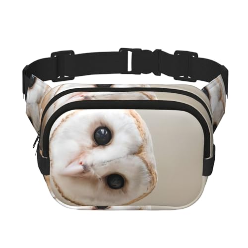 QGWDYYJQ Hüfttasche mit lustigem Eulen-Aufdruck, quadratisch, doppellagig, Reisetasche, Schwarz , Einheitsgröße von QGWDYYJQ