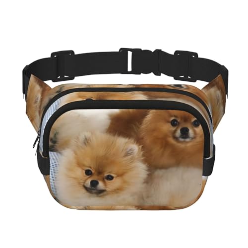 QGWDYYJQ Hüfttasche mit süßem Zwergspitz-Druck, quadratisch, doppellagig, Hüfttasche, Reisetasche, Schwarz , Einheitsgröße von QGWDYYJQ