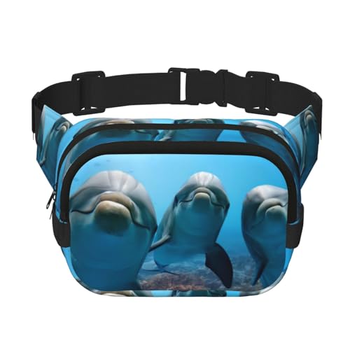 QGWDYYJQ Ocean Animal Funny Delphin Printed Square Double Layer Waist Bag Waist Pack Travel Bag, Schwarz , Einheitsgröße von QGWDYYJQ