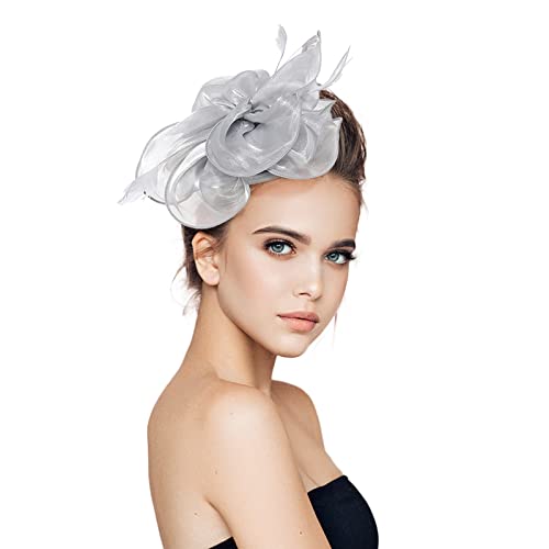 Fascinator Hut Damen Women's Mesh Feathers Clip Wedding Cocktail Tea Party for Women and Girls Feder Netz Schleier Party Hüte 50er Jahre Fascinator Hut Für Frauen von QIFLY