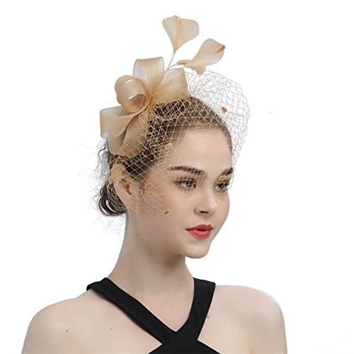 Fascinator Schwarz Damen Elegant Fascinator Haarreif Für Hochzeit Cocktail Wedding Cocktail Tea Party for Women and Girls Frauen Feder Fascinator Hut Fascinator Hair Clip von QIFLY