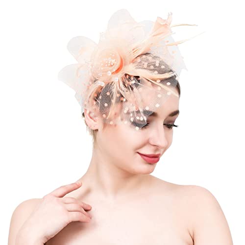 Fascinator Schwarz Women's Fascinator Hat Pillbox Schleier Hut Headwear Elegant Cocktail Wedding Headbands for Women Girls Fascinator Hat Elegant Feather Net Mesh Derby Tea Party Hats von QIFLY