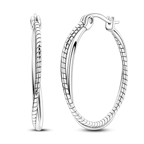 QIKAOLA 925 Sterling Silber Ohrringe für Frauen Bunte Creolen Hypoallergene Huggie Ohrringe von QIKAOLA