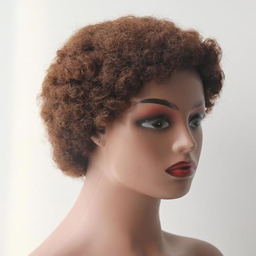 Lace Front Perücken Echthaar Lockige Bob-Perücken aus Echthaar, Farbe for Frauen, kurze Pixie-Cut-Perücke, Echthaarperücke Perücken für Frauen(Chocolate brown) von QINGGANG-0224