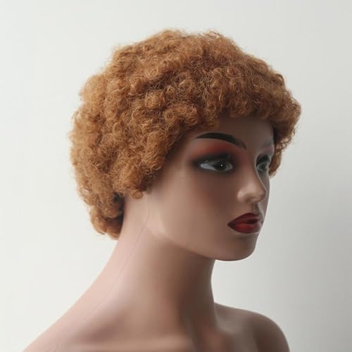 Lace Front Perücken Echthaar Lockige Bob-Perücken aus Echthaar, Farbe for Frauen, kurze Pixie-Cut-Perücke, Echthaarperücke Perücken für Frauen(Medium Brown) von QINGGANG-0224
