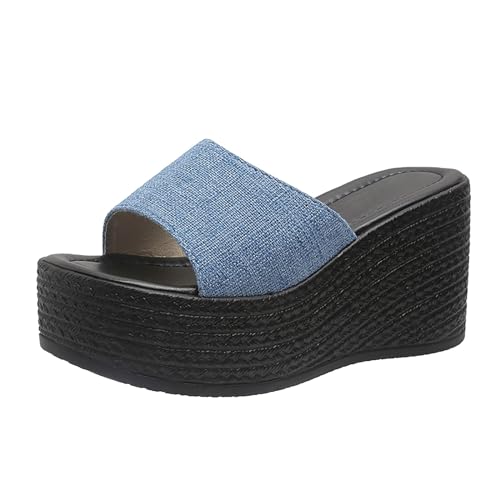 QINGMEN Sandalen Damen Für den tragen Frauen dicke biskuitfarbene, flache High-Heel-Sandalen mit schrägen Absätzen Keilabsatz Schuhe 2025 (Sky Blue, 43) von QINGMEN
