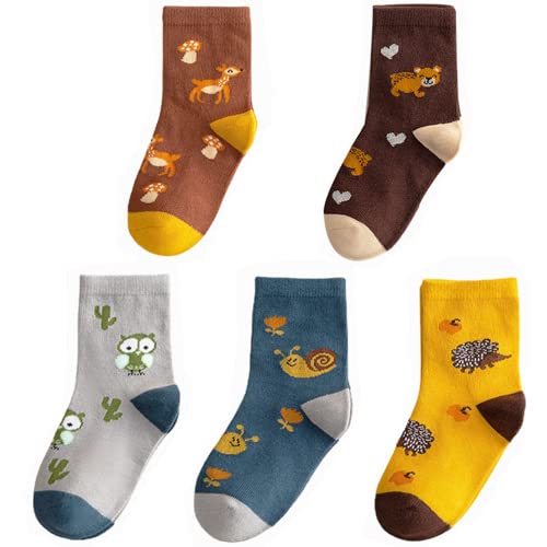 QIYIENDIAN 5 Paar kuschelig warme Crew Socken Cute Cartoon/Solid Farben für 1-10 Jahre Kleinkind Kinder Jungen Mädchen （3-5 Jahre，1C-Tiere） von QIYIENDIAN