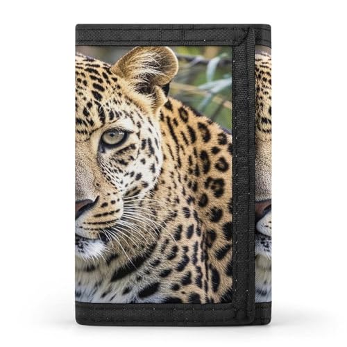 QMKFWT Afrikanische Tier-Leoparden-Geldbörse, Kreditkartenhalter, Premium-Dokumenten-Organizer, Etui für Damen und Herren von QMKFWT