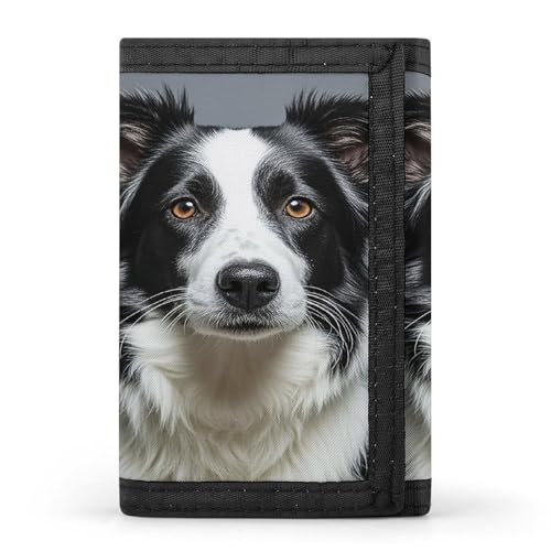 QMKFWT Border Collie Casual Wallet Kreditkartenetui Premium Dokument Organizer Etui für Damen und Herren von QMKFWT