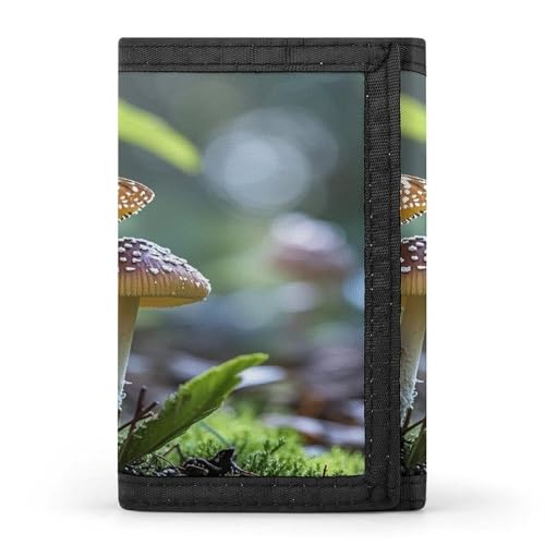 QMKFWT Butterfly Mushroom Casual Wallet Credit Card Holder Premium Document Organizer Case for Men And Women von QMKFWT