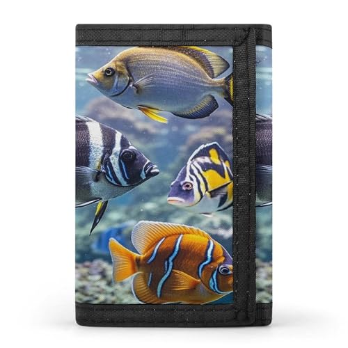 QMKFWT Different Fish Casual Wallet Credit Card Holder Premium Document Organizer Case for Men And Women von QMKFWT