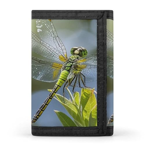 QMKFWT Jewel Libelle Casual Wallet Kreditkartenetui Premium Dokument Organizer Etui für Männer und Frauen QMKFWT Jewel Libelle Casual Wallet Kreditkartenetui Premium Dokument Organizer Etui für Männer und Frauen von QMKFWT