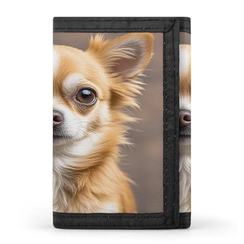 QMKFWT Niedliche Chihuahua-Geldbörse, Kreditkartenhalter, Premium-Dokumenten-Organizer, Etui für Damen und Herren von QMKFWT