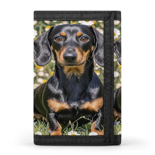 QMKFWT Pad Dackel Casual Wallet Kreditkartenetui Premium Dokument Organizer Etui für Männer und Frauen von QMKFWT