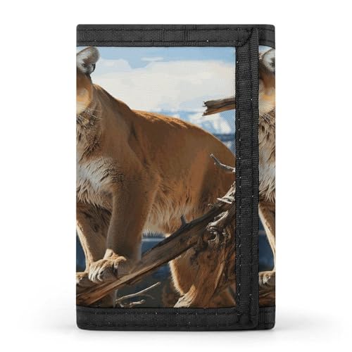 QMKFWT Panther Mountain Lion Casual Wallet Kreditkartenetui Premium Dokument Organizer Etui für Männer und Frauen von QMKFWT