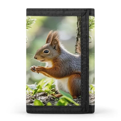 Squirrel in The Woods Casual Wallet Credit Card Holder Premium Document Organizer Case for Men And Women von QMKFWT