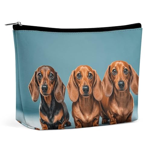 QMNBTES Reise-Make-up-Tasche mit drei Dackeln, große Kulturtasche für Damen, wasserdichte Kosmetiktasche für Geldbörse, tragbare Make-up-Organizer, niedliche Reißverschlusstasche, Kosmetiktasche von QMNBTES
