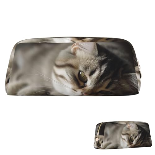 QMNEHJ Federmäppchen mit großem Fassungsvermögen, PU-Leder, Stifteetui, schlafende Katze, kleiner Reißverschluss, Schreibwaren-Tasche, ästhetische Stifttasche, niedliche Bleistiftbox, tragbare von QMNEHJ