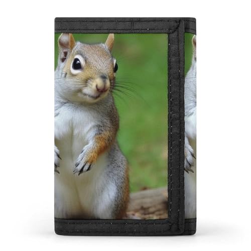 QMNRTK Dreifach gefaltete Geldbörse mit Eichhörnchen-Motiv, schmale Geldbörse, personalisierbar, RFID-blockierend, für Damen und Herren, Einheitsgröße, Stil:, Einheitsgröße von QMNRTK