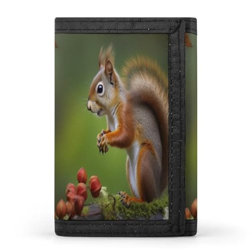 QMNRTK Dreifach gefaltete Geldbörse mit Eichhörnchen-Motiv, schmale Geldbörse, personalisierbar, RFID-blockierend, für Damen und Herren, Einheitsgröße, Stil:, Einheitsgröße von QMNRTK