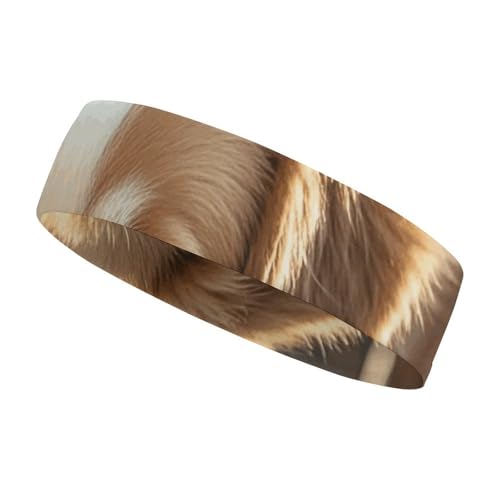 QMNVBDS Lazy Dog Puppy Headband for Women Men Non Slip Head Band Elastic Sport Head Bands for Running Hiking Sweat Headband for Athletic Yoga Running Gym von QMNVBDS