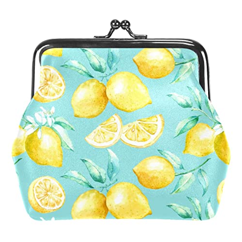 Gelbe Zitronenblaue Blätter Muster Schnalle Geldbörse Vintage Beutel Schnalle Clutch Tasche Kiss-Lock Wechselgeldbörse Floral Verschluss Geldbörsen für Frauen Mädchen, Multicolor 08, Einheitsgröße, von QQIAEJIA