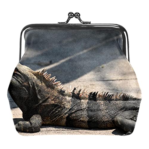 Kleine Schnalle Geldbörse Monitor Lizard Pouch Kiss-Lock Verschluss Ändern Geldbörse Geldbörsen, Mehrfarbig 09, Einheitsgröße, Taschen-Organizer von QQIAEJIA