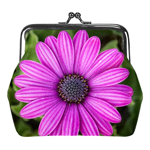 Lila Osteospermum Gänseblümchen Blume Schnalle Münzbörse Vintage Pouch Schnalle Clutch Bag Kiss-Lock Wechselgeldbörse Floral Verschluss Geldbörsen für Frauen Mädchen, Mehrfarbig 18, Einheitsgröße, von QQIAEJIA