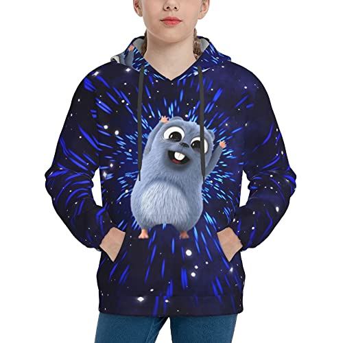 QQIAEJIA Grizzy And The Lemmings Teen Kapuzenpullover Jungen Mädchen 3D-Druck Pullover Hoodies Kapuzenpullover Seatshirts Pullover, Schwarz 6, S von QQIAEJIA