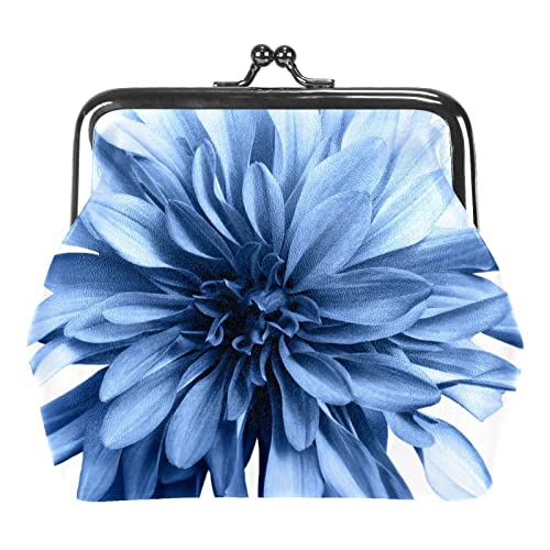 Sonnenblume Helianthus Blüte Blumen Schnalle Münzbörse Vintage Pouch Schnalle Clutch Bag Kiss-Lock Wechselgeldbörse Floral Verschluss Geldbörsen für Frauen Mädchen, blau, Einheitsgröße, von QQIAEJIA