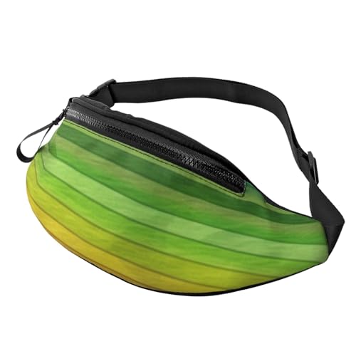 Bauchtasche mit Regenbogen-Hintergrund für Herren und Damen, verstellbarer Gürtel, lässige Brusttasche, Bauchtaschen für Reisen, Sport, Laufen, Wandern, Hüfttaschen, Schwarz , Einheitsgröße von QQLADY