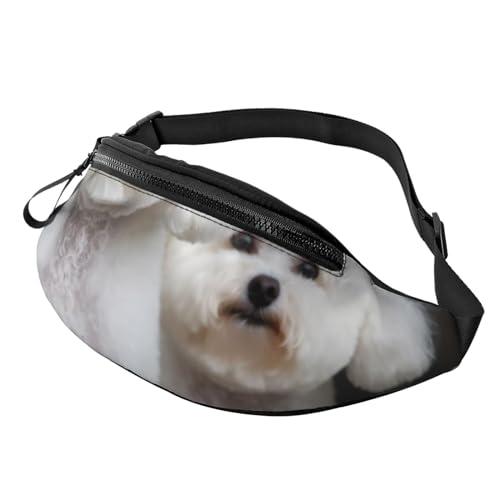 Bichon Frise Bauchtasche für Herren Damen Hüfttasche Verstellbarer Gürtel Lässige Brusttasche Bauchtaschen für Reisen Sport Laufen Wandern Hüfttaschen, Schwarz , Einheitsgröße von QQLADY