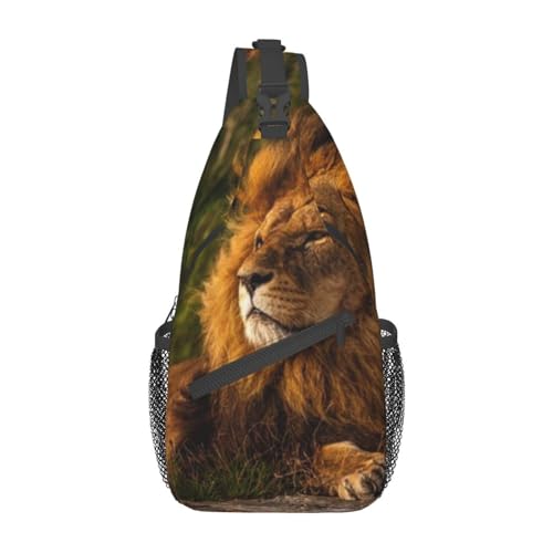 Grassland Lion Bauchtasche für Herren Damen Hüfttasche Verstellbarer Gürtel Lässige Brusttasche Bauchtaschen für Reisen Sport Laufen Wandern Hüfttaschen, Schwarz , Einheitsgröße von QQLADY